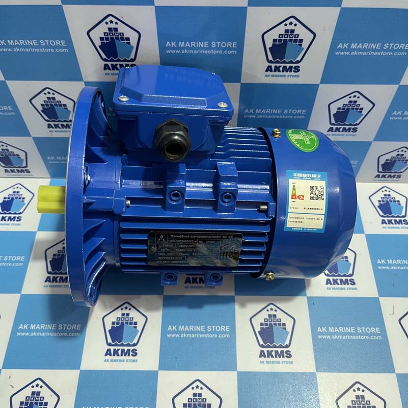 ZHEJIANG XINGCHENG ELECTROMECHANICAL YE3-80M2-4 THREE-PHASE ASYNCHRONOUS MOTOR