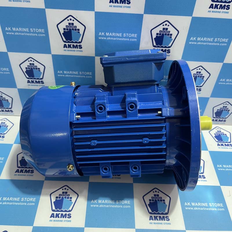 ZHEJIANG XINGCHENG ELECTROMECHANICAL YE3-80M2-4 THREE-PHASE ASYNCHRONOUS MOTOR
