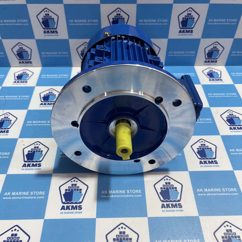 ZHEJIANG XINGCHENG ELECTROMECHANICAL YE3-80M2-4 THREE-PHASE ASYNCHRONOUS MOTOR