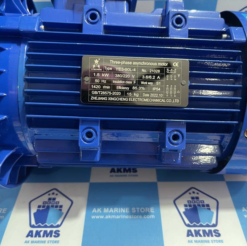ZHEJIANG XINGCHENG ELECTROMECHANICAL YE3-90L-4 THREE-PHASE ASYNCHRONOUS MOTOR