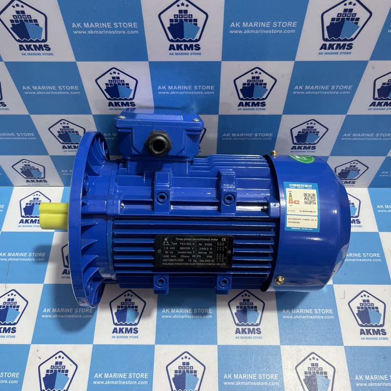 ZHEJIANG XINGCHENG ELECTROMECHANICAL YE3-90L-4 THREE-PHASE ASYNCHRONOUS MOTOR