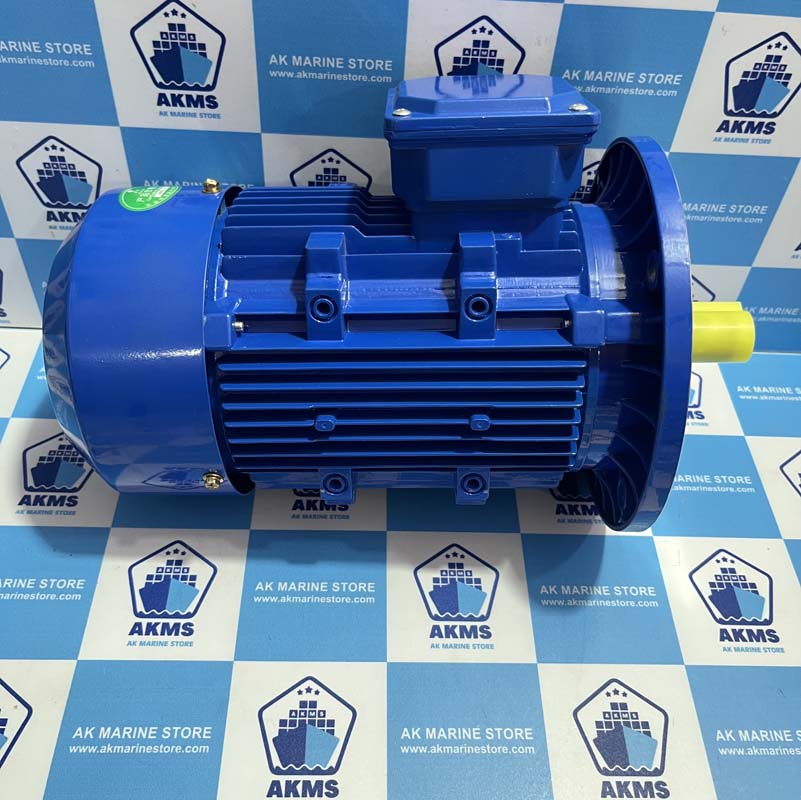 ZHEJIANG XINGCHENG ELECTROMECHANICAL YE3-90L-4 THREE-PHASE ASYNCHRONOUS MOTOR
