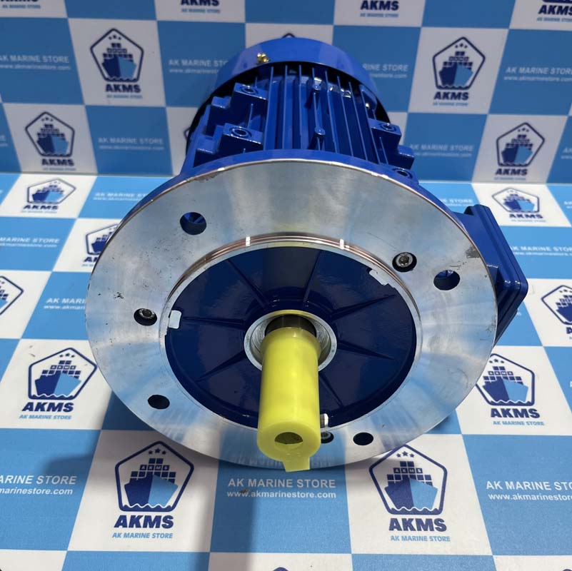ZHEJIANG XINGCHENG ELECTROMECHANICAL YE3-90L-4 THREE-PHASE ASYNCHRONOUS MOTOR